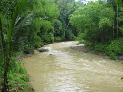 Beritabali.com