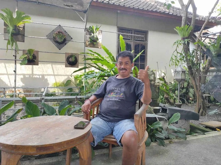 Beritabali.com