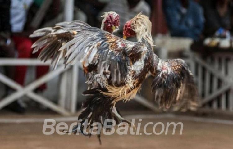 Beritabali.com