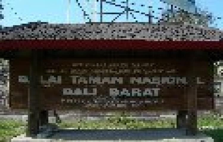 Beritabali.com