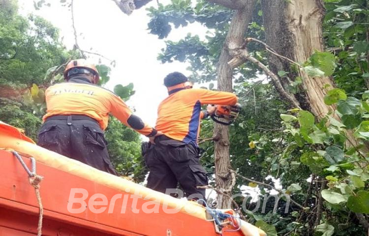 Beritabali.com