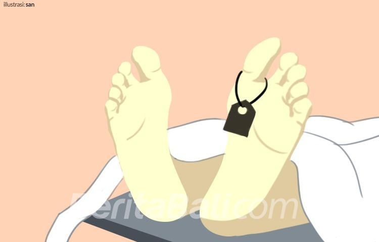 Beritabali.com