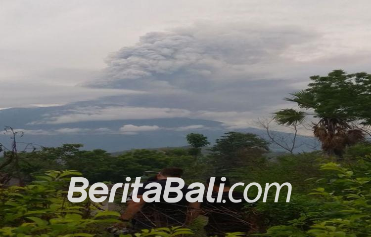Beritabali.com
