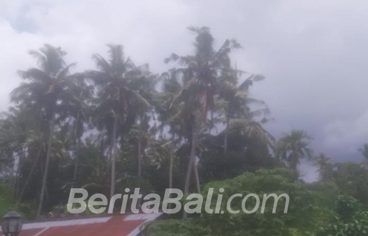 Beritabali.com