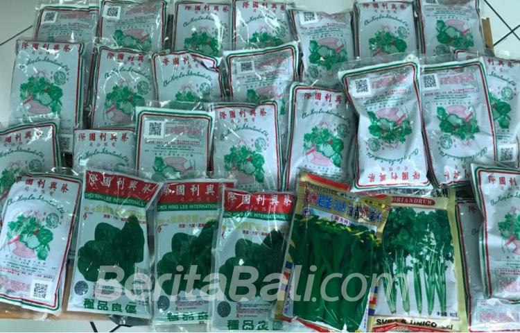 Beritabali.com