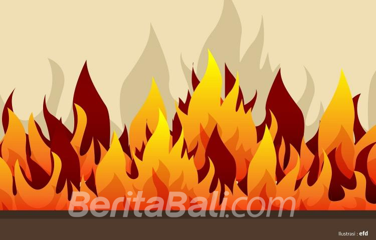 Beritabali.com