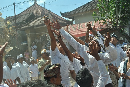 Beritabali.com
