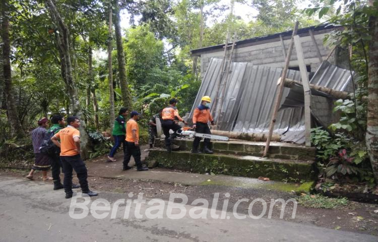 Beritabali.com