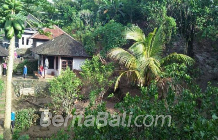 Beritabali.com