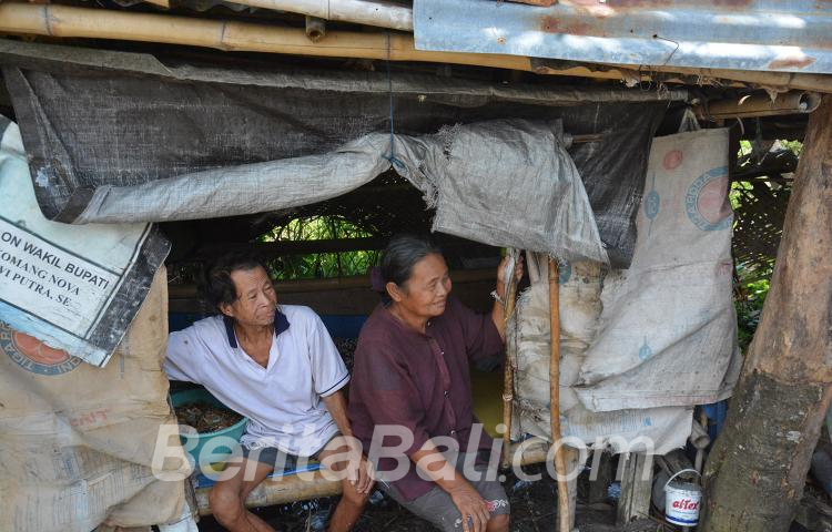 Beritabali.com